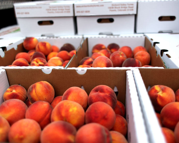 Boxes full of ripe peaches from Paonia Colorado used for making Red Camper Colorado Whiskey Peach Preserves 