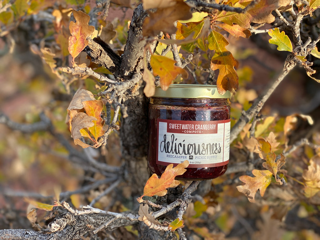 Jar of RedCamper Sweetwater Cranberry Compote displayed in fall time tree Deliciousness Picnic Supply 
