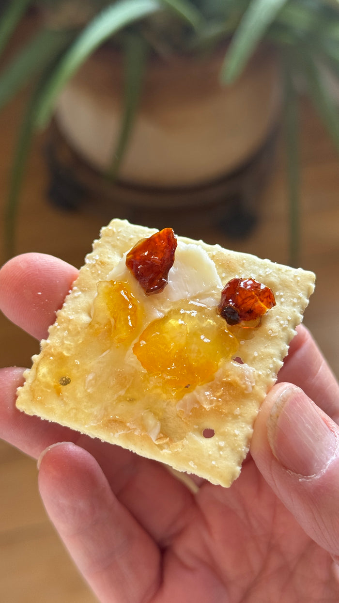 TEST KITCHEN LIMITED RELEASE : Rosehip Meyer Lemon Deliciousness: Cheeseboard Size