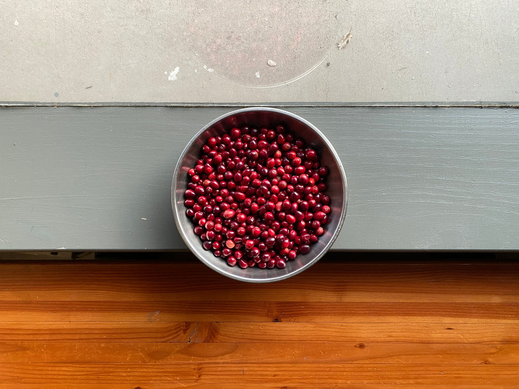 Bowl of fresh organic cranberries floating in water 