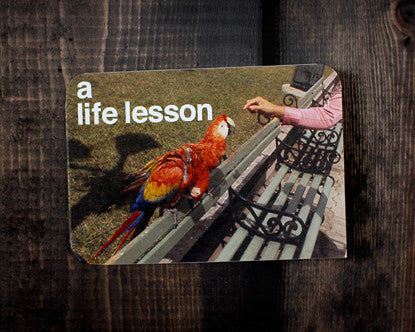 RedCamper Retro Greeting Card 1960's Slide Image - Person feeding parrot on park bench Text - A Life Lesson, Mother's Day Card